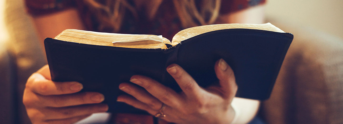 GSI-ResourcePage-Reading-the-Bible-to-Find-the-Bigger-Picture
