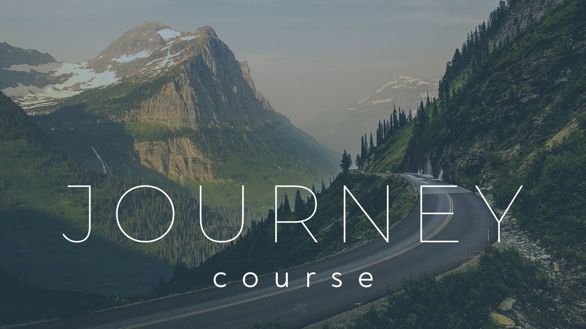 the journey course coupon